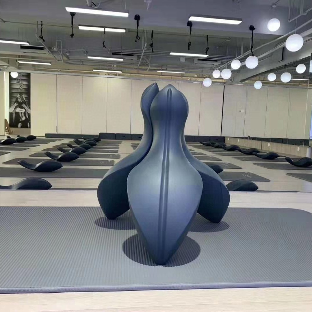 Spine Spoon Corrector Back Cor - Pilates Yoga Joint 评论和价格